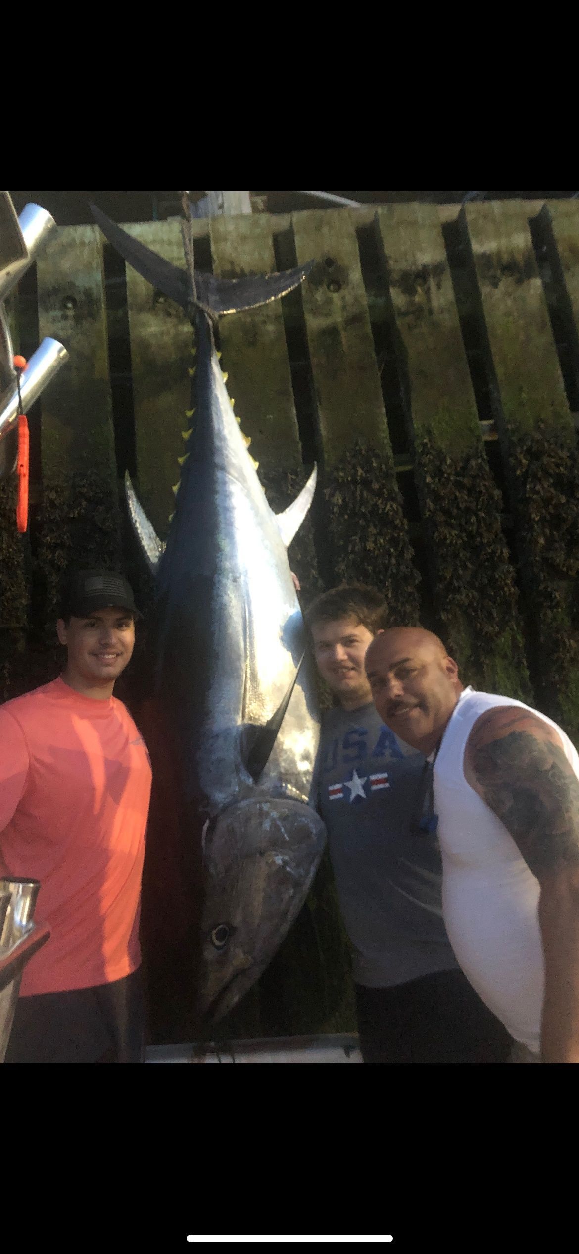 Three men are standing next to a large fish.