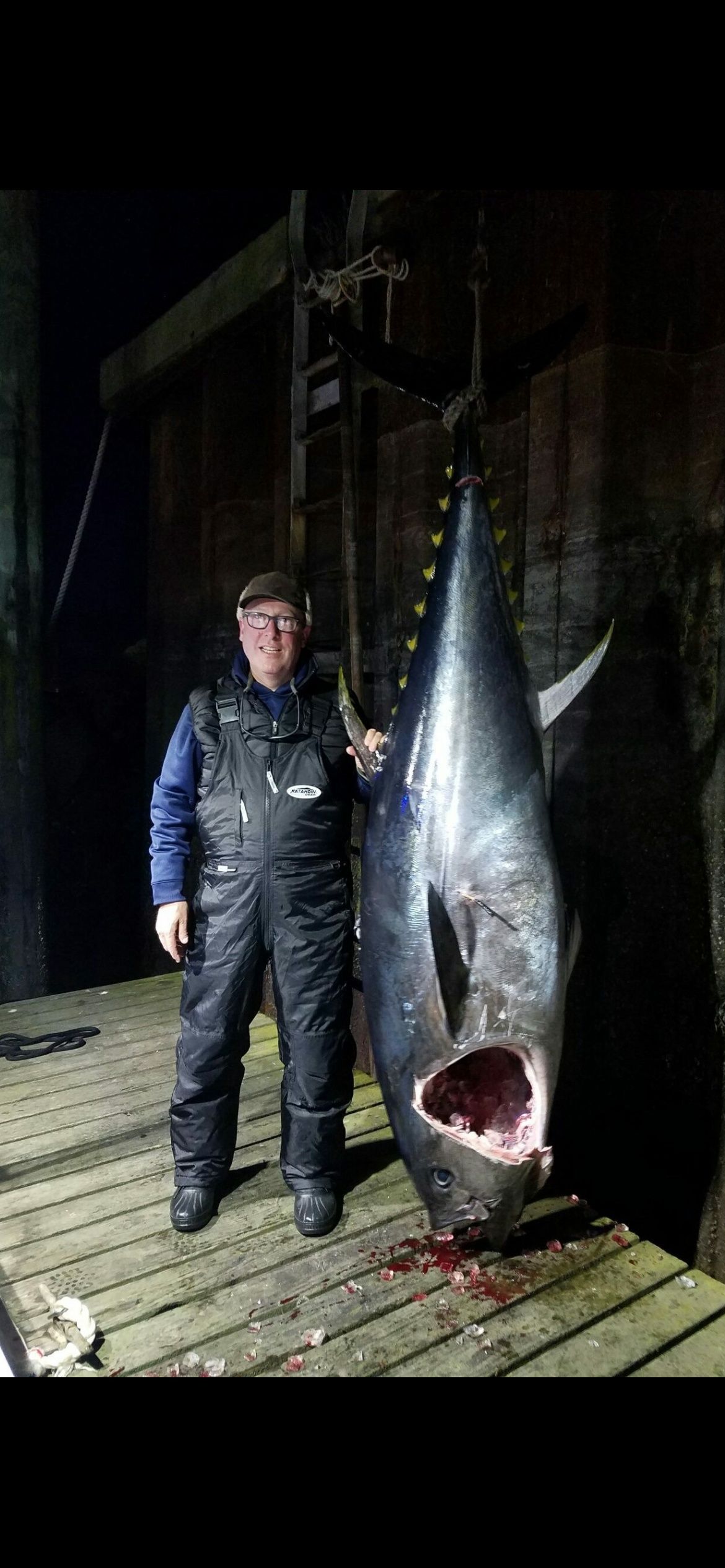 A man is standing next to a large shark on a dock.