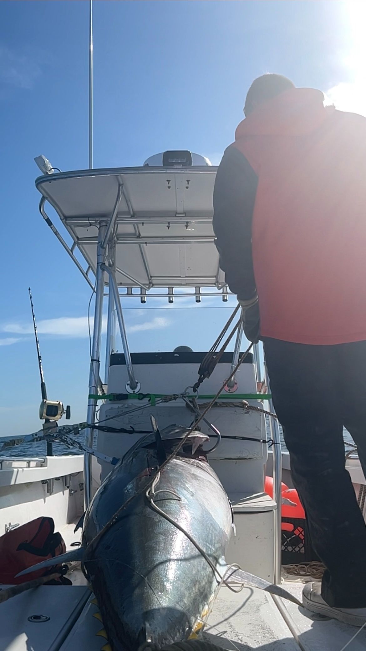 A man is standing next to a large fish on a boat.