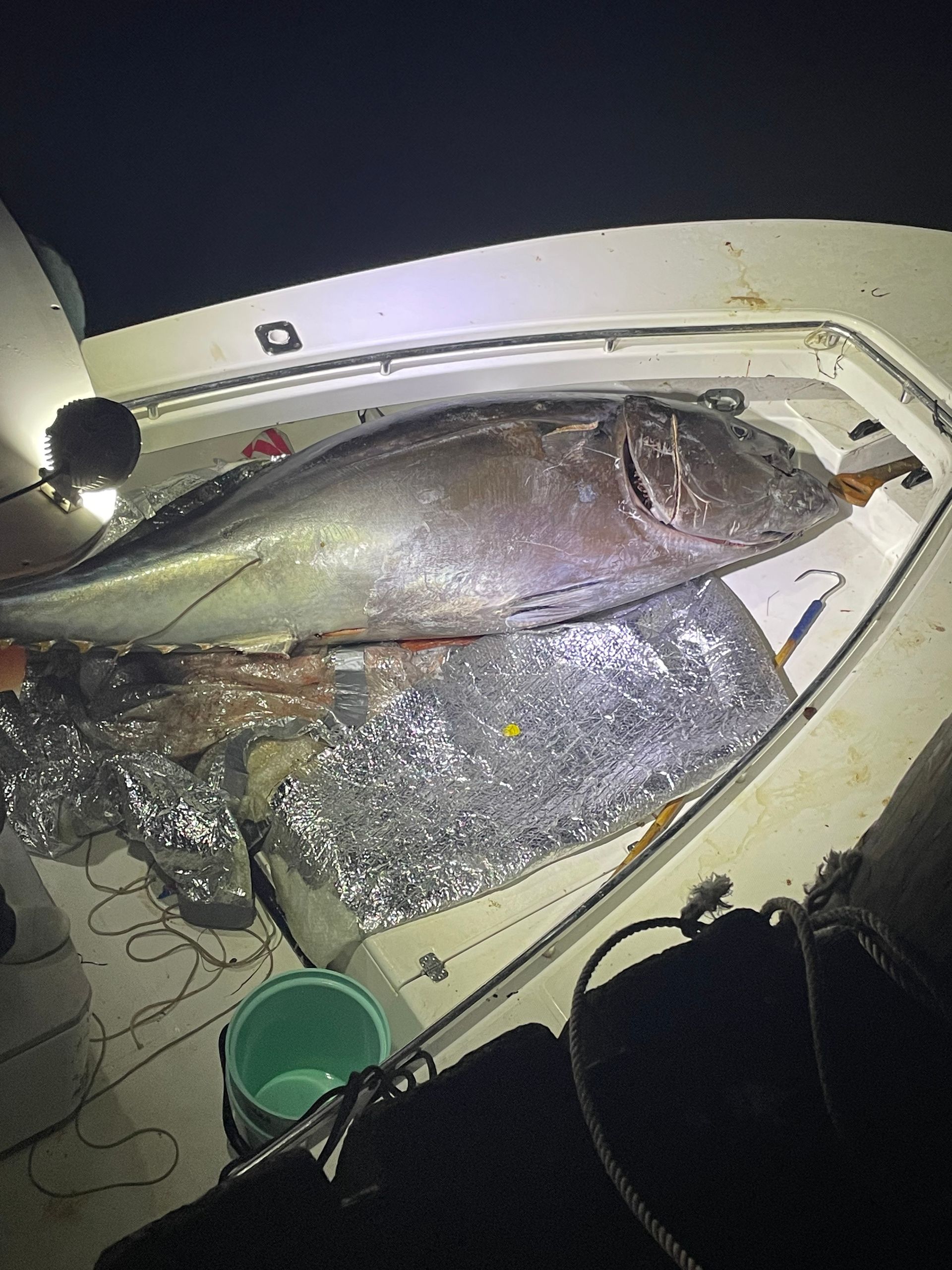 A large fish is laying on the deck of a boat.