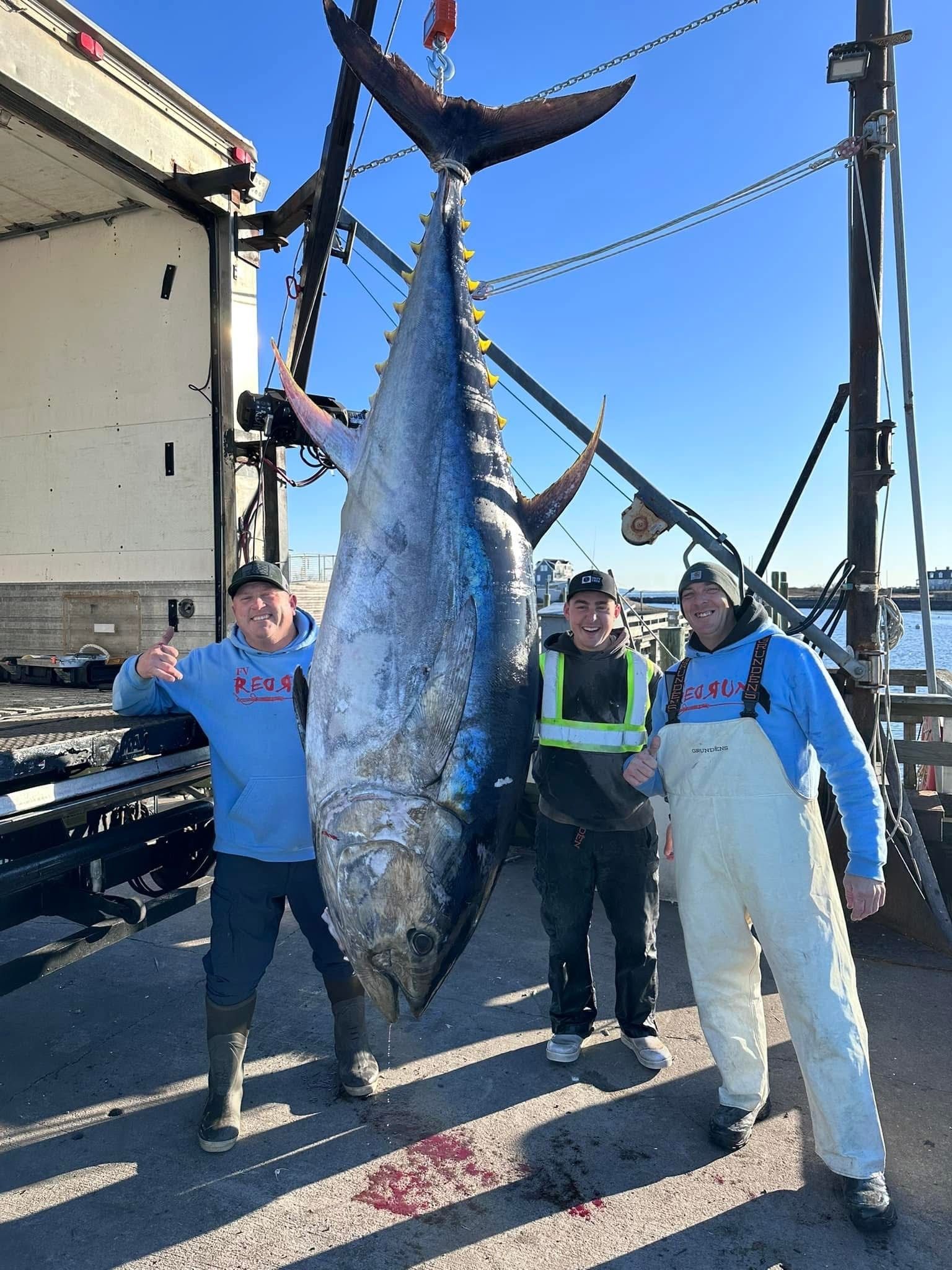 Three men are standing next to a very large fish.
