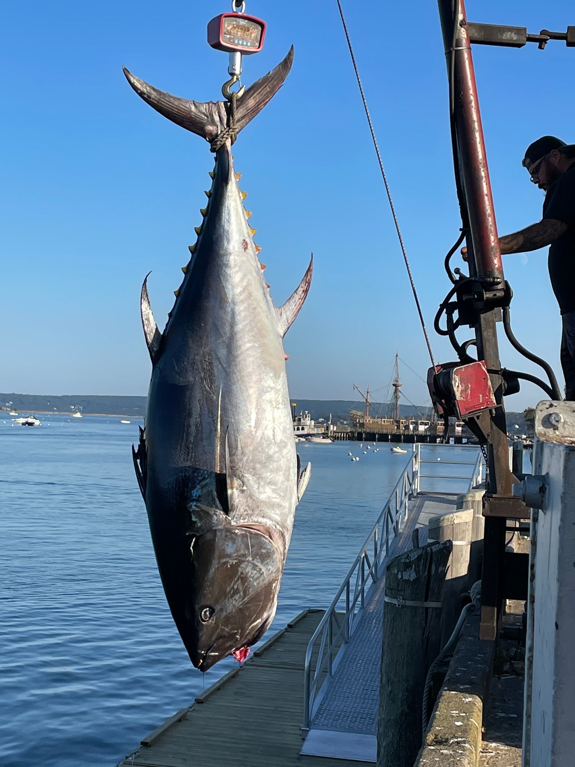 A large fish is hanging from a crane over a body of water