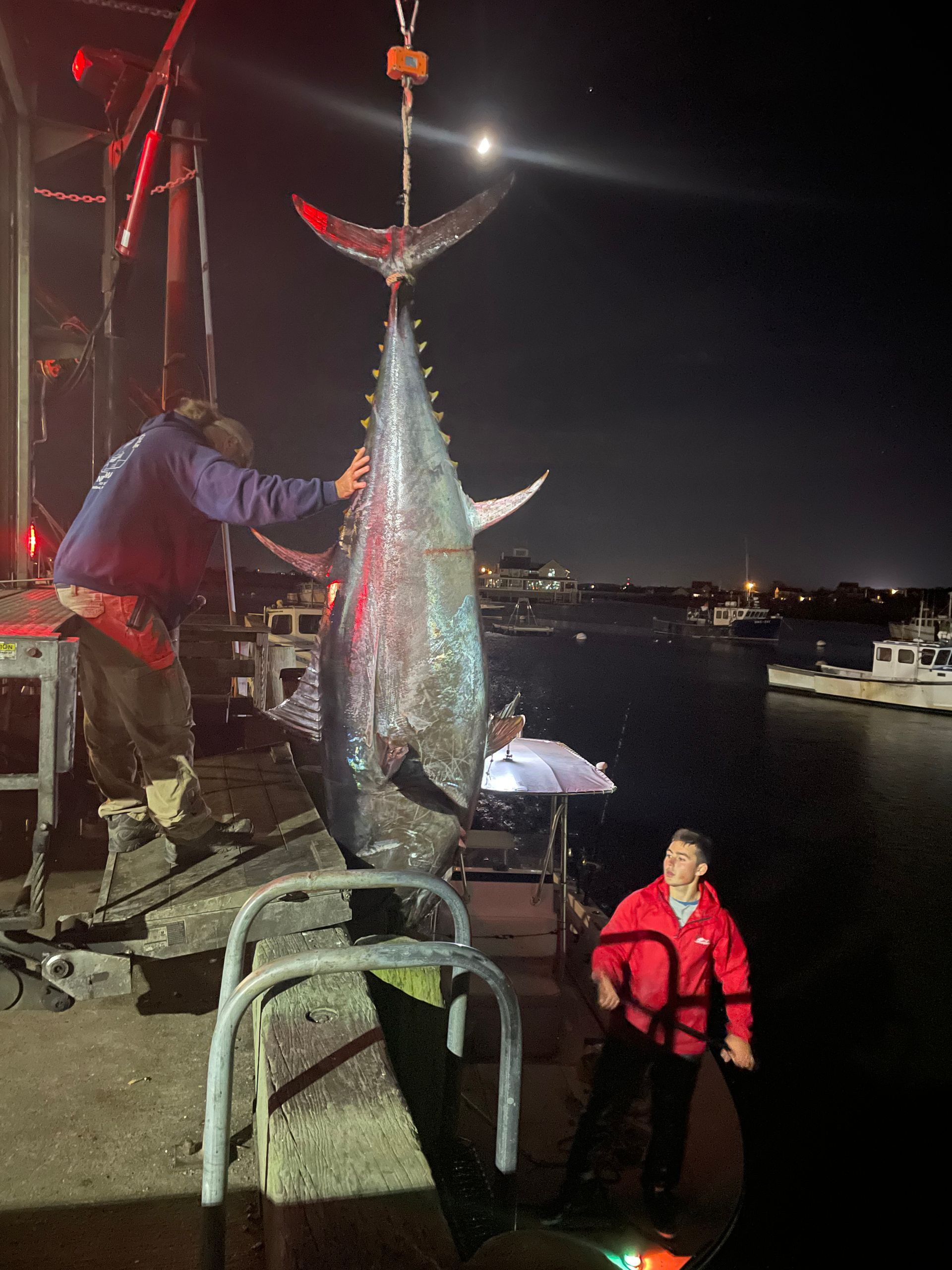A man is holding a very large fish on a crane.