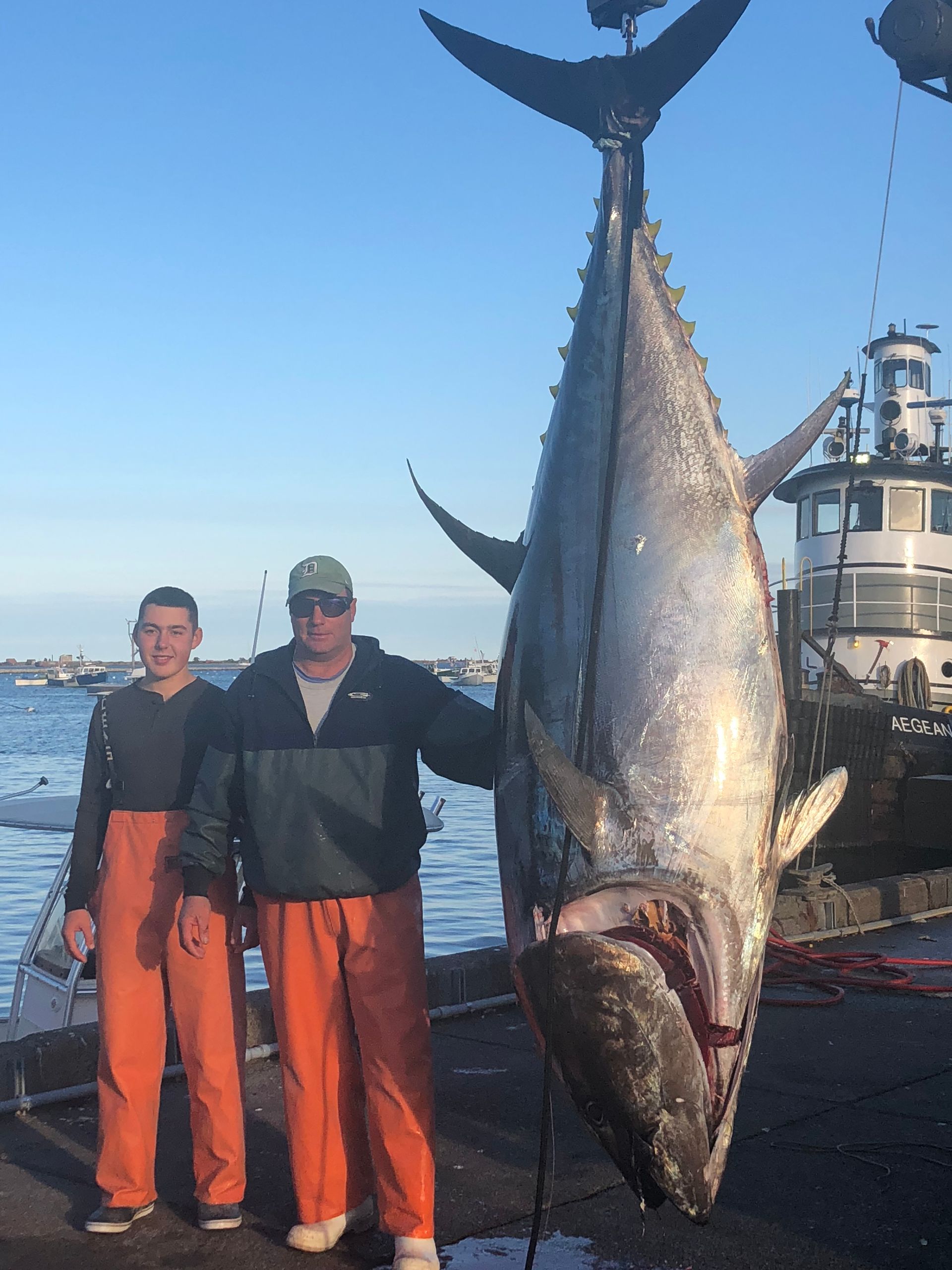 Two men standing next to a very large fish