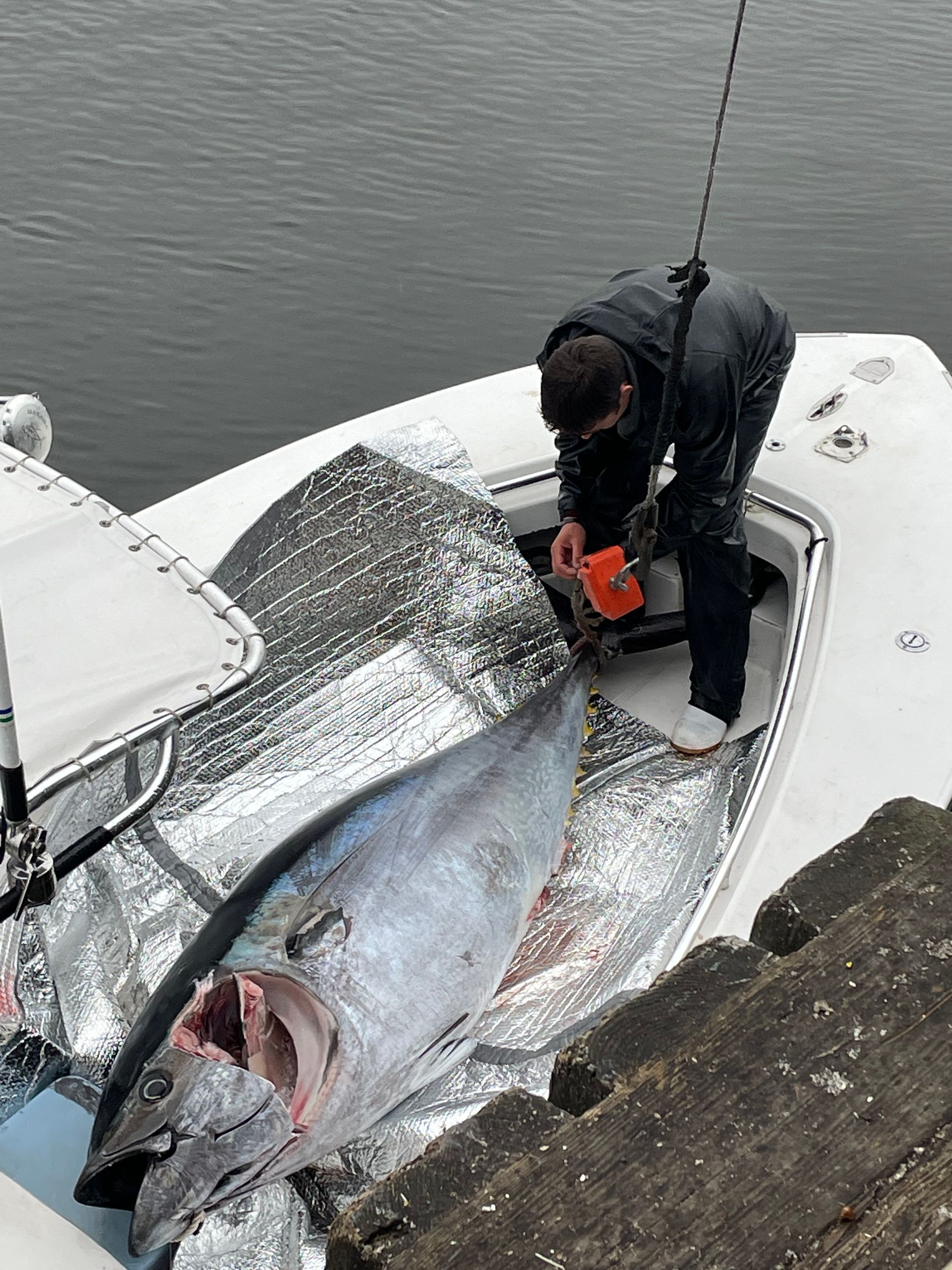 A man is standing on a boat next to a large fish.