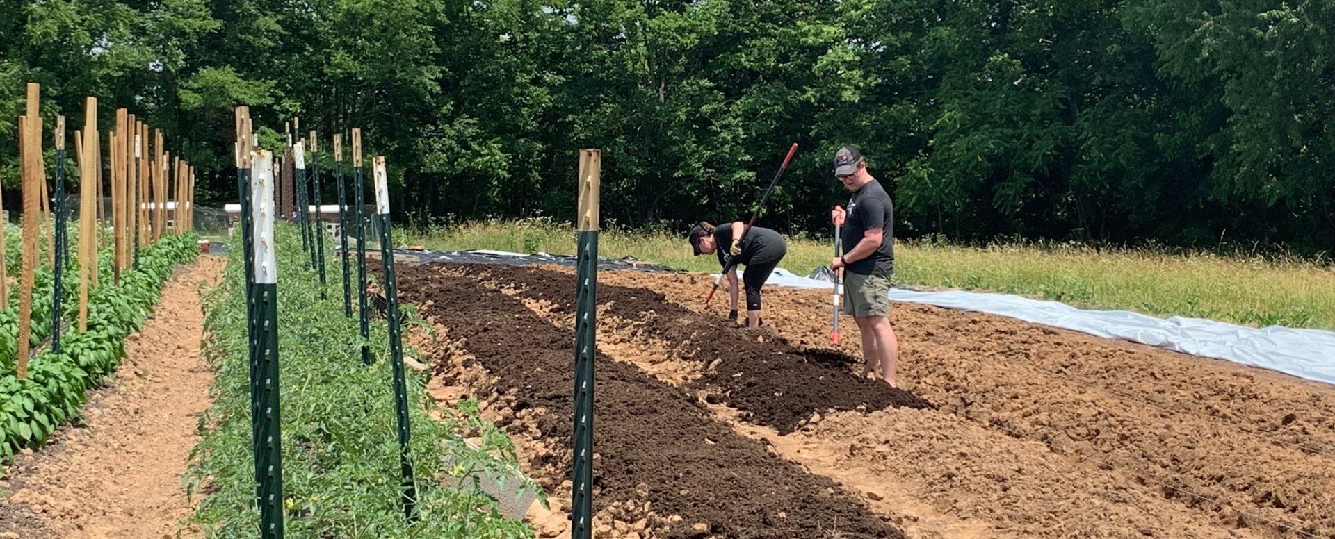 Grow, Cook, Share: The Nashville Food Project Makes a Healthy Impact on Our Community | Roux LLC Franklin, TN