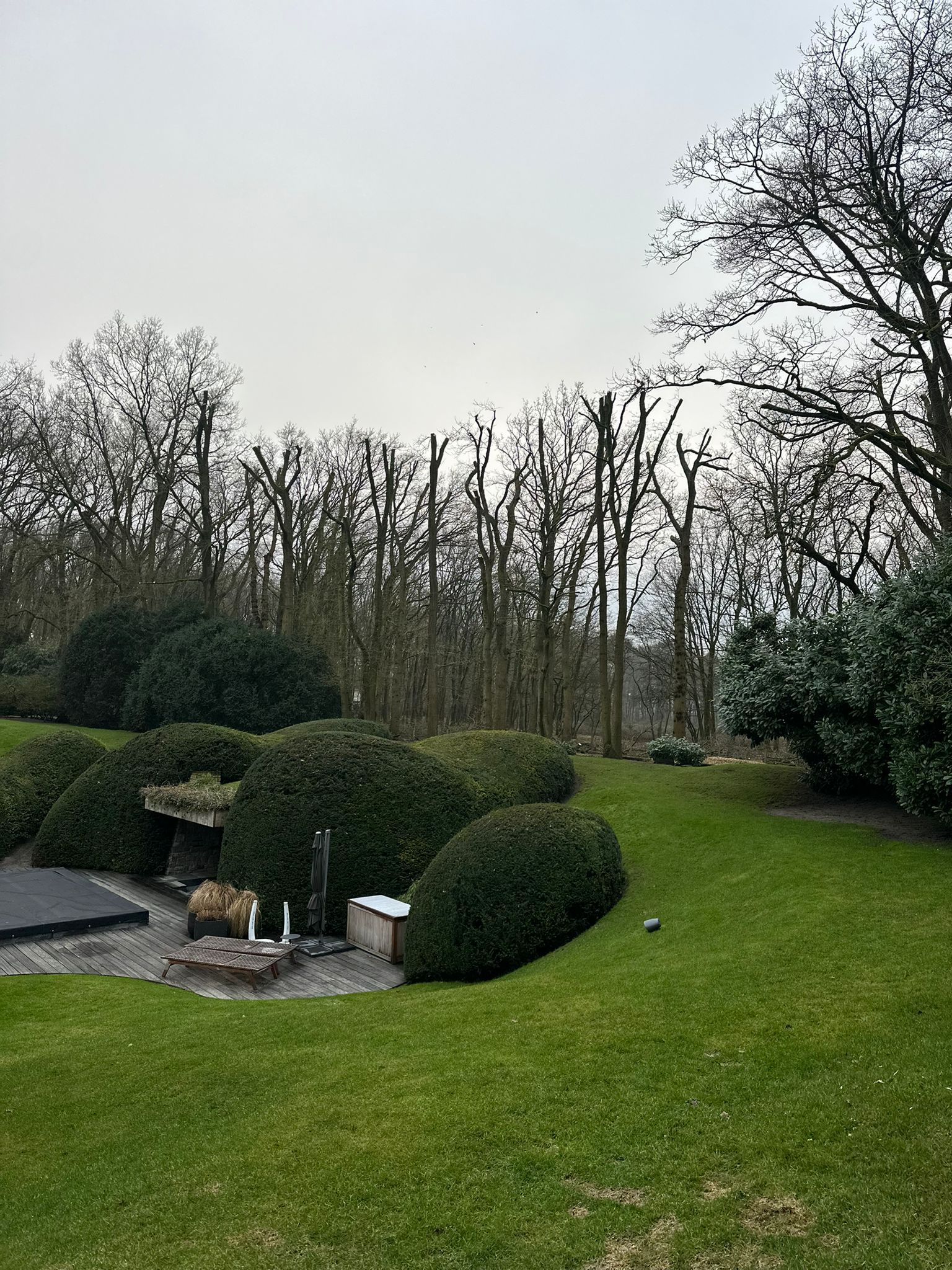 Een persoon zit in een boom takken te snoeien in een achtertuin, onder een bewolkte hemel.