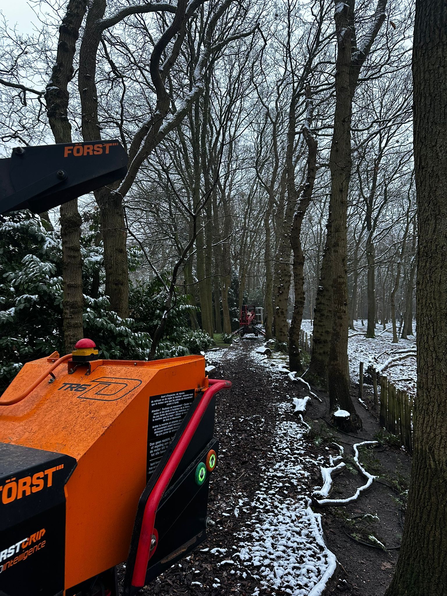 Houtversnipperaar van Orange Forest in een besneeuwde open plek in het bos.