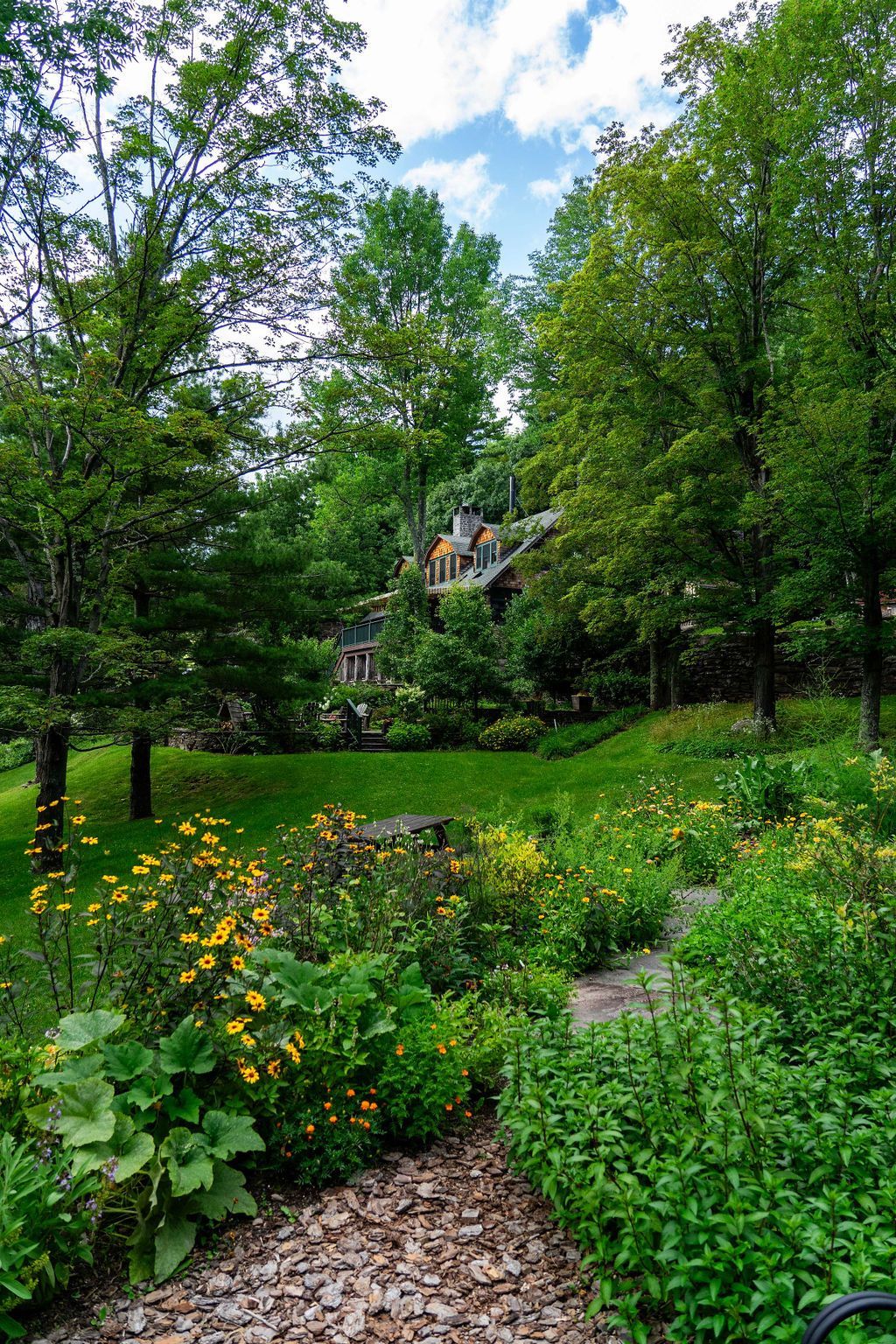 A garden filled with lots of plants and trees with a house in the background.