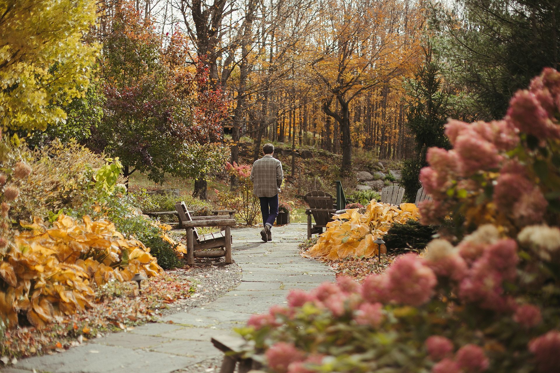 A man is walking down a path in a park.