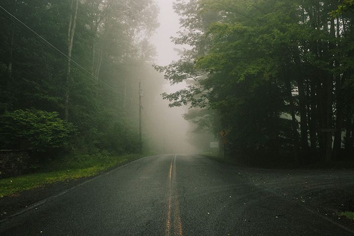 A foggy road surrounded by trees on a foggy day.