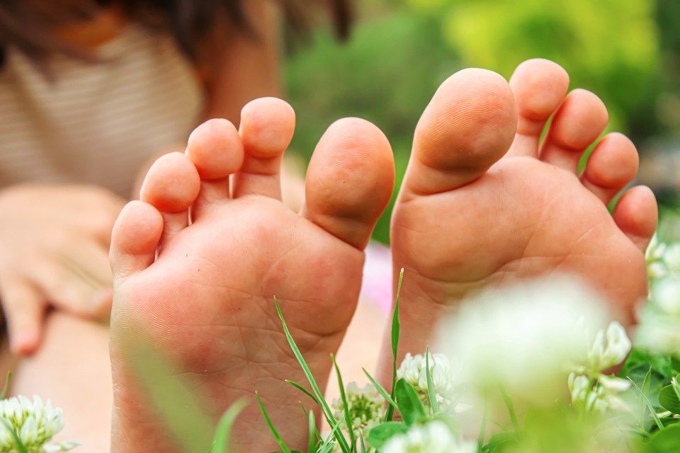 Riflessologia plantare