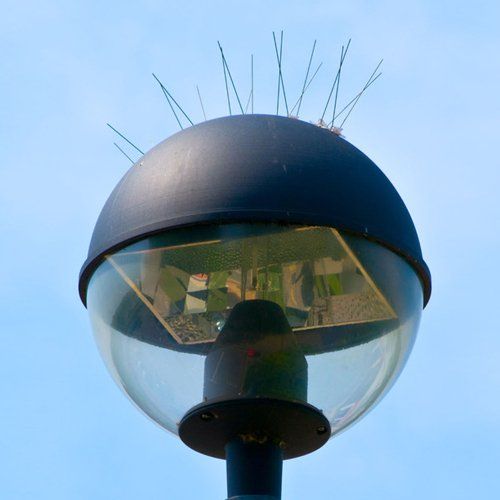 Street lamp with spikes, portrait photograph