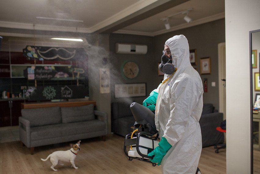 One man, man in protective suit disinfecting and spraying every room in the building alone