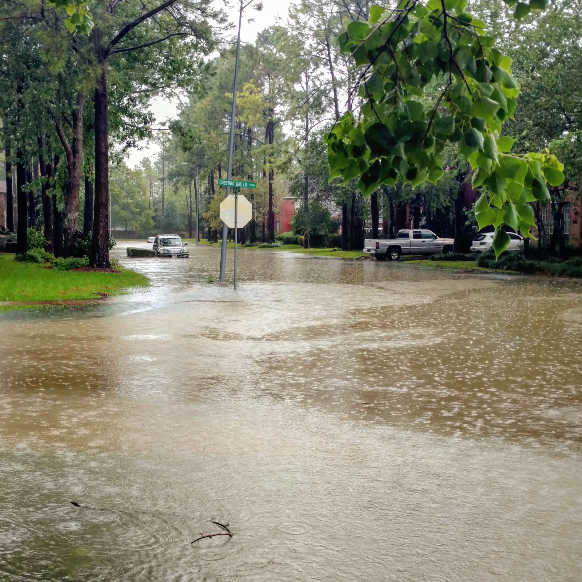 Flooded residential street with standing water. Cars in distance. Overcast sky.