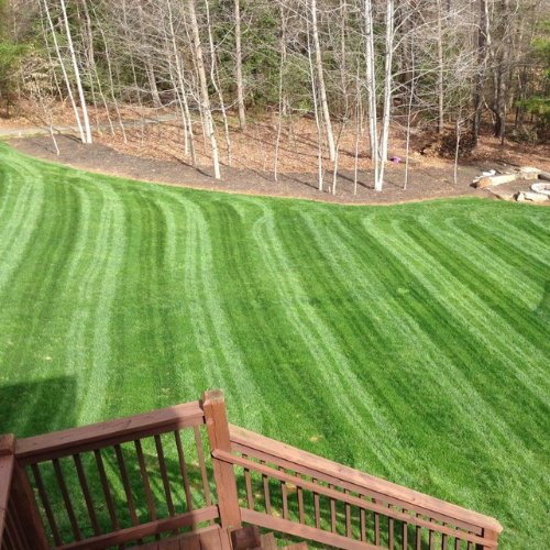 a view of a lush green lawn from a deck .