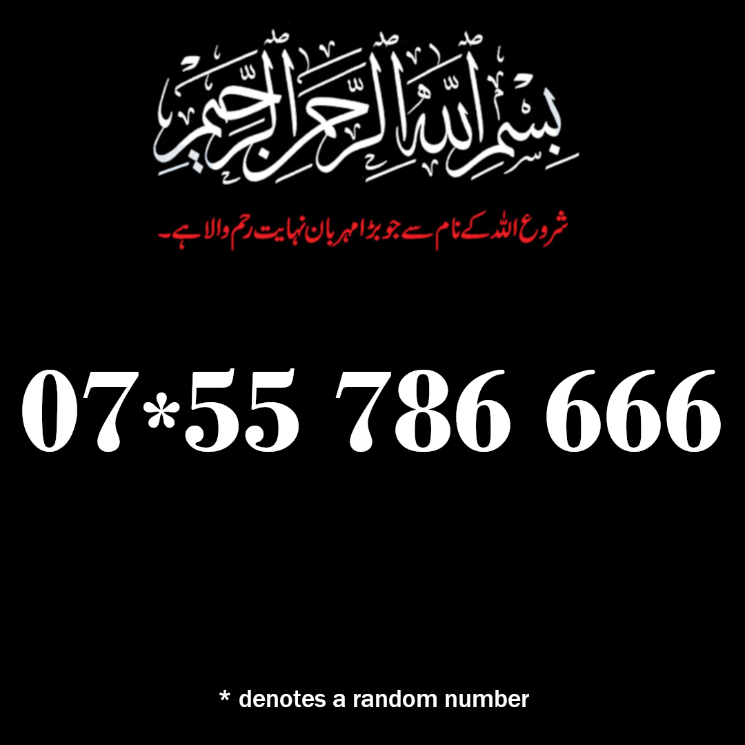07355 786 666