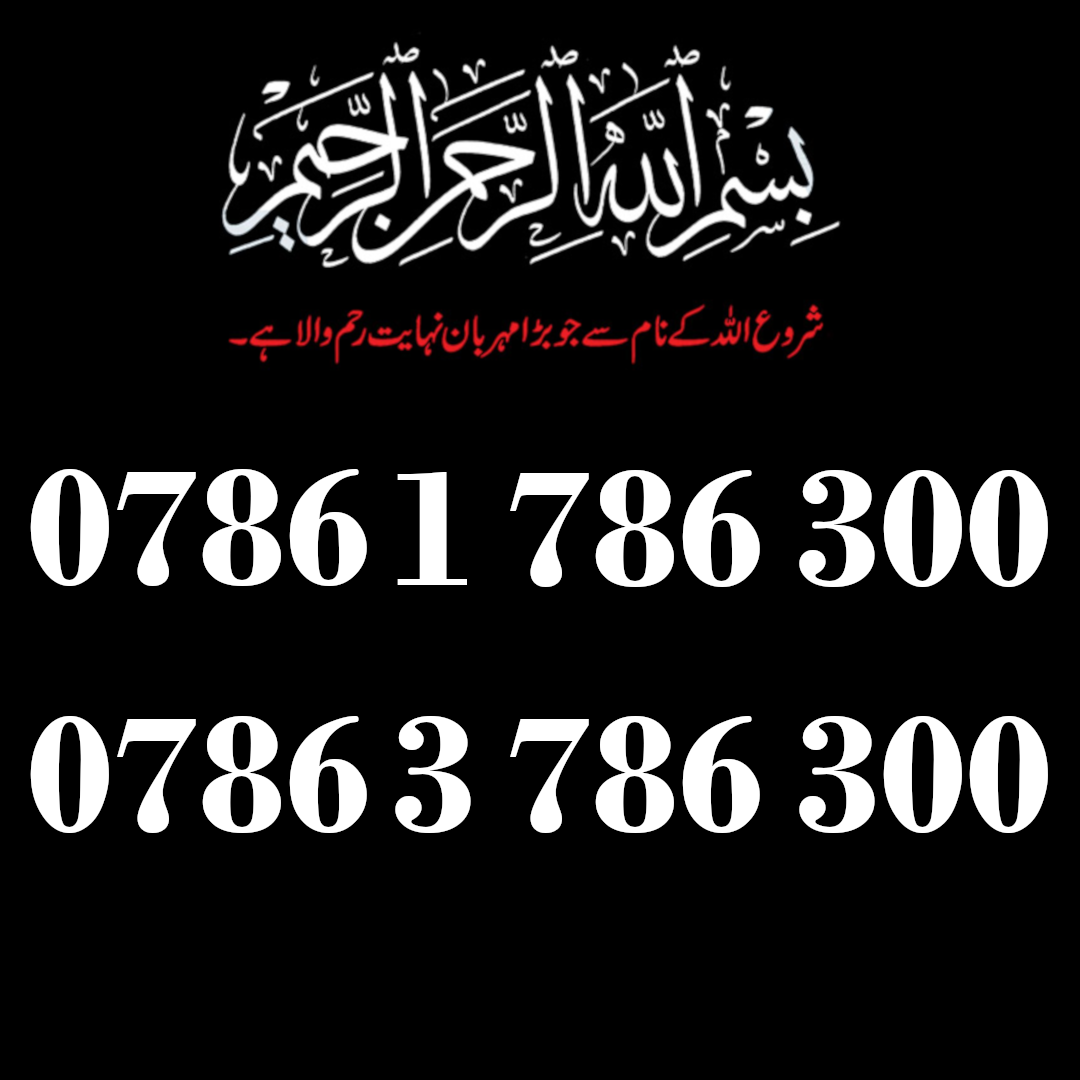 0786 1 786 300 & 0786 3 786 300 Pair