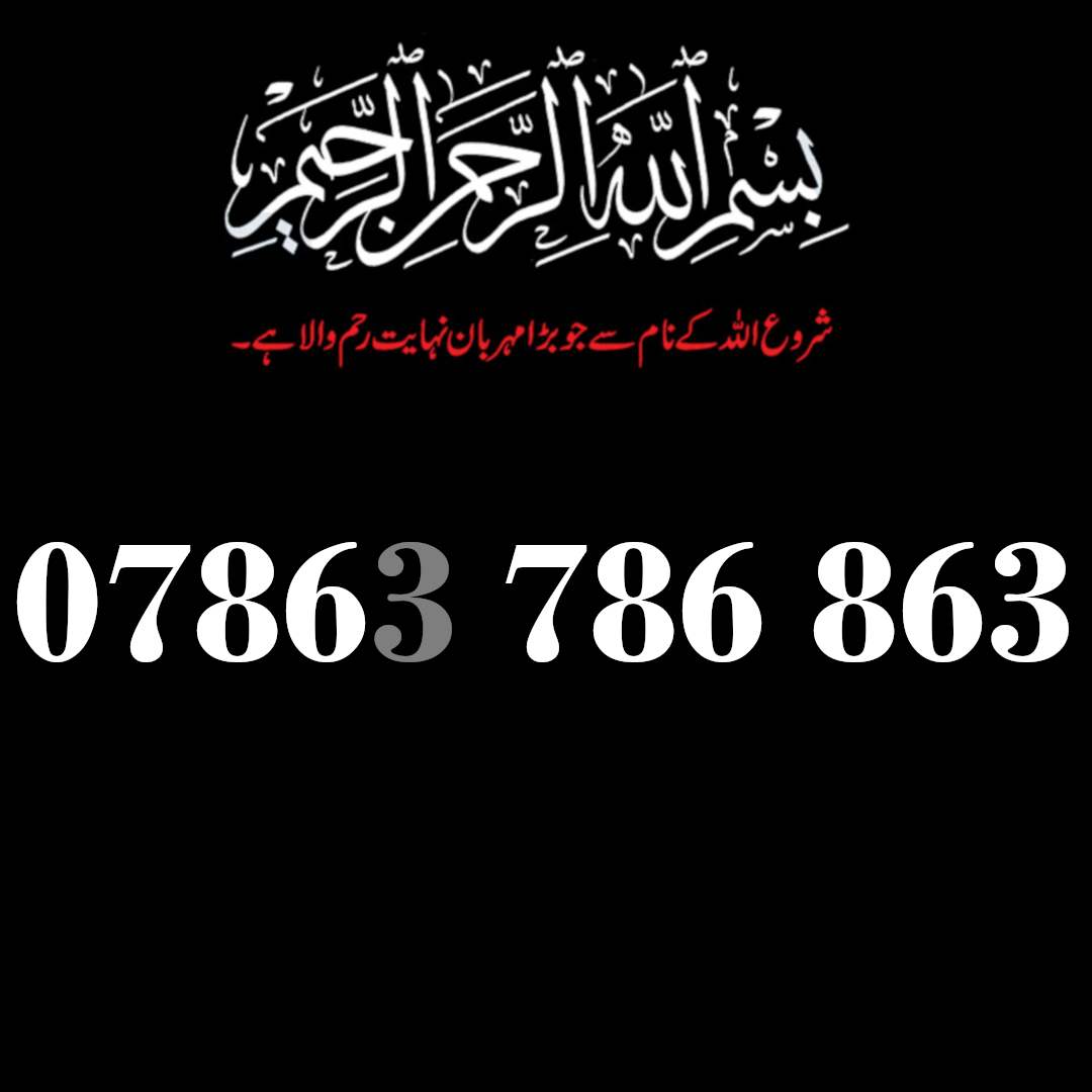 0786 3 786 863 & 0786 3 863 786 Pair