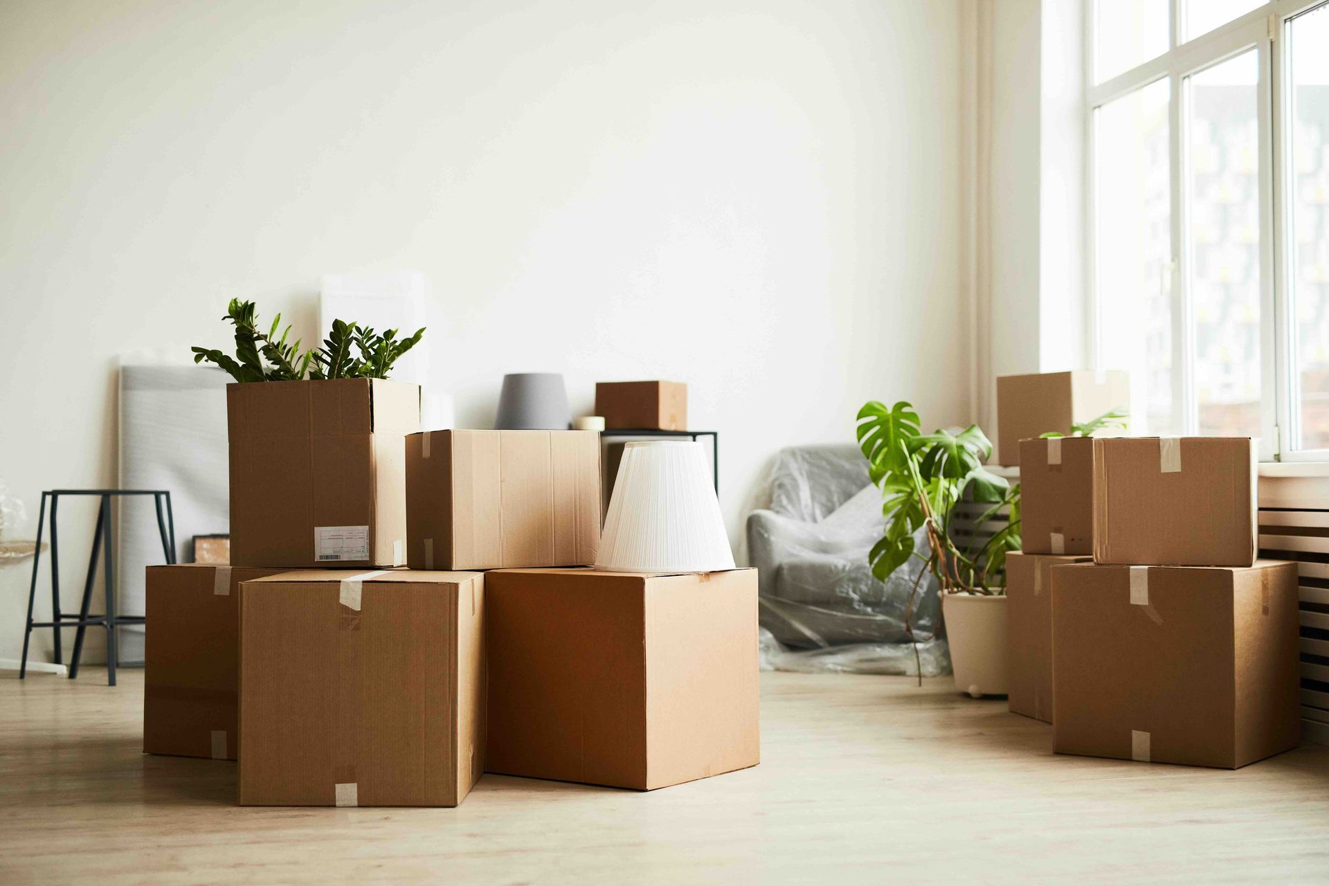a living room filled with cardboard boxes and potted plants.