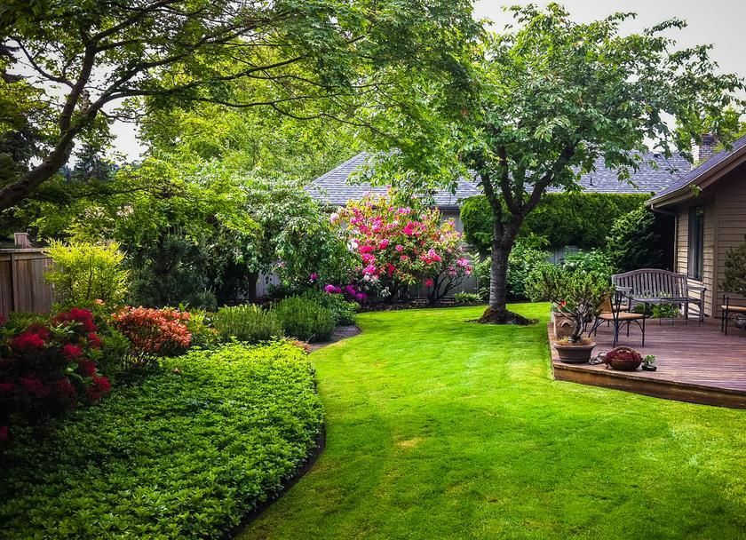 A lush green backyard with a deck and a house in the background.