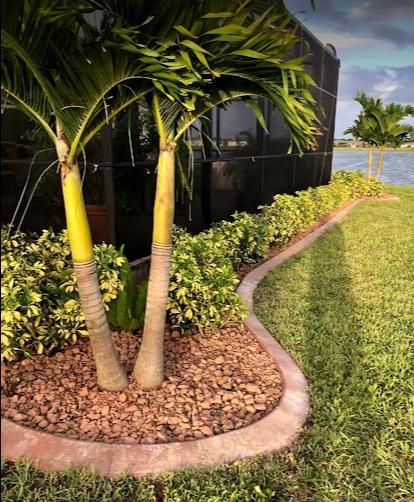 A couple of palm trees in a garden next to a body of water.