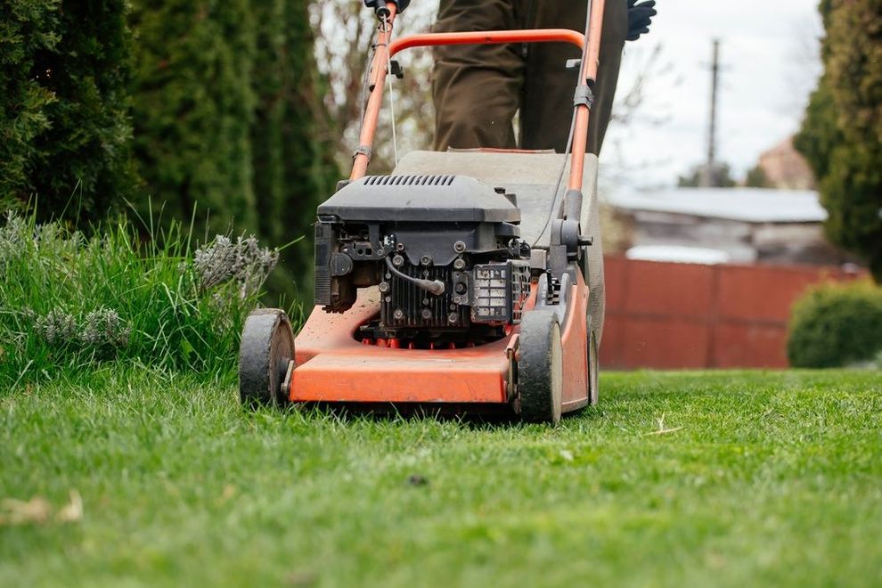 Person mowing a green lawn with an orange push mower in a yard