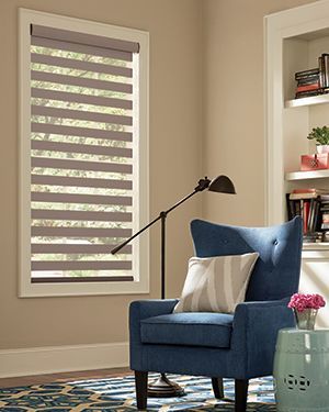 Dual Shades (Mezzanine/Zebra)