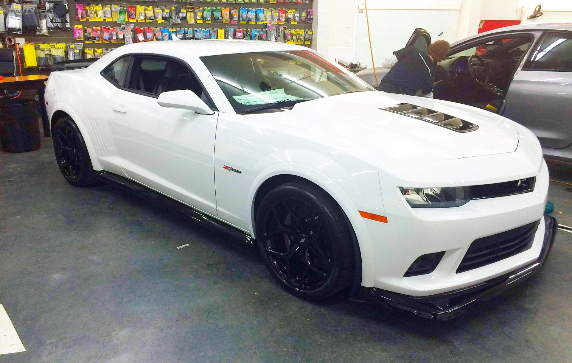 Gloss and Matte PPF Series