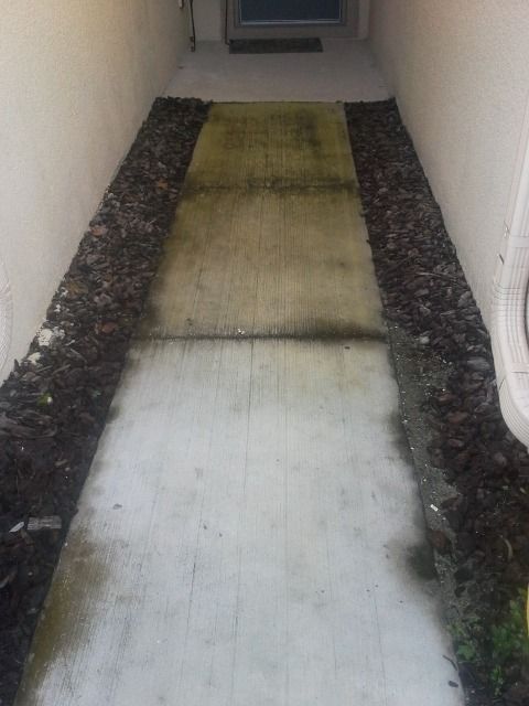 Concrete walkway with leaves on either side, leading to a door.