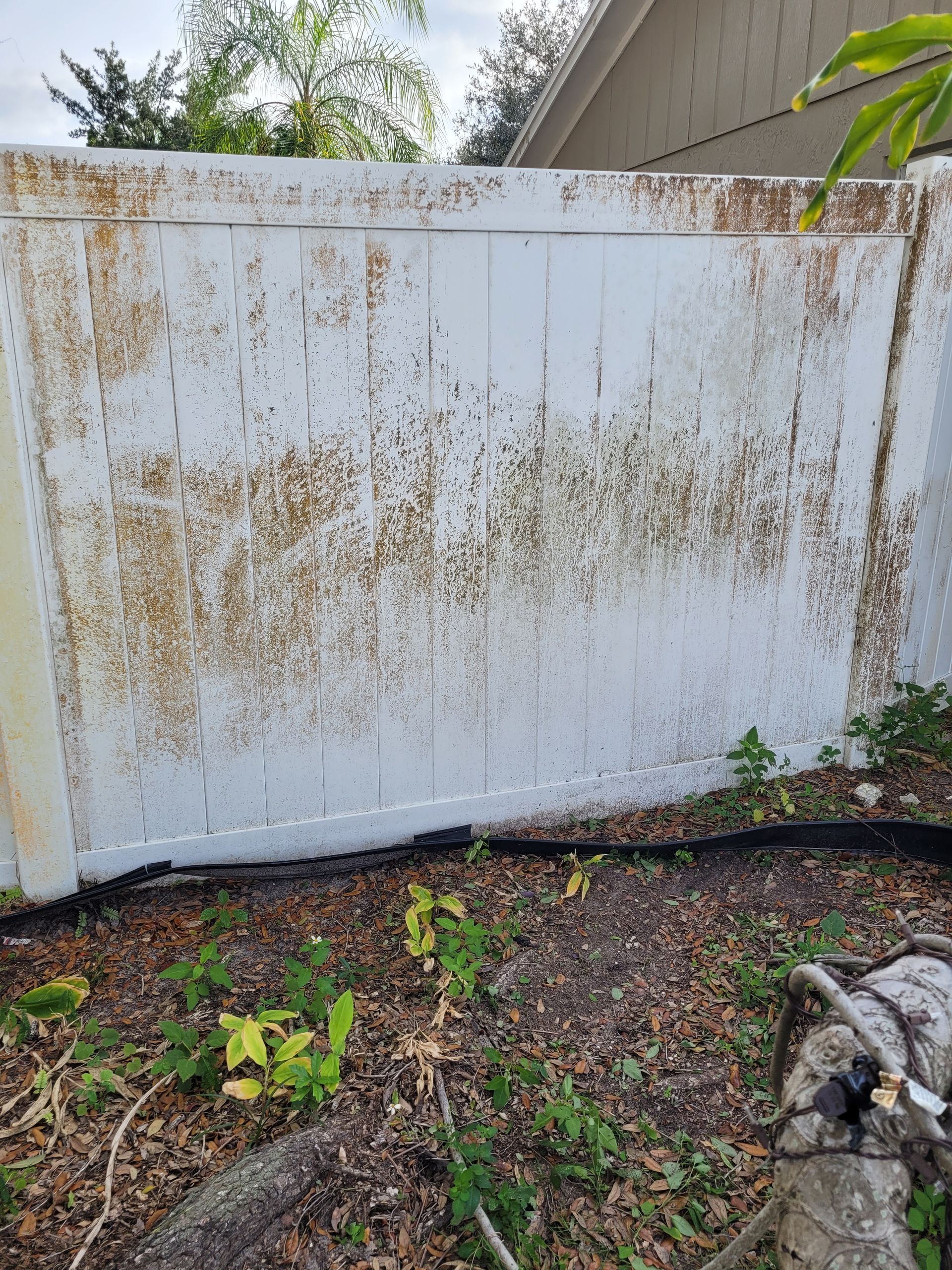 Fence pressure washing in Brandon