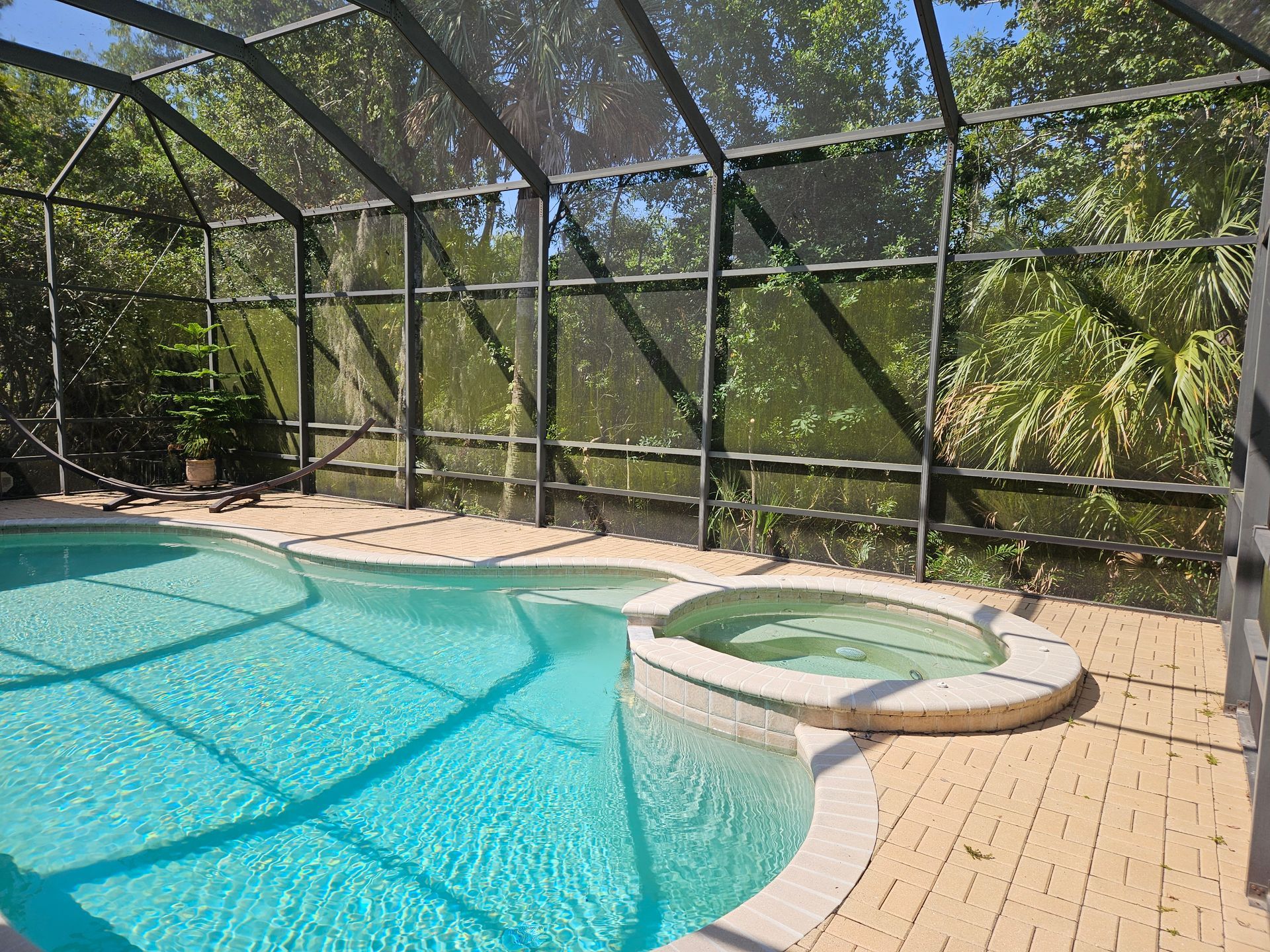 Pool screen cleaning