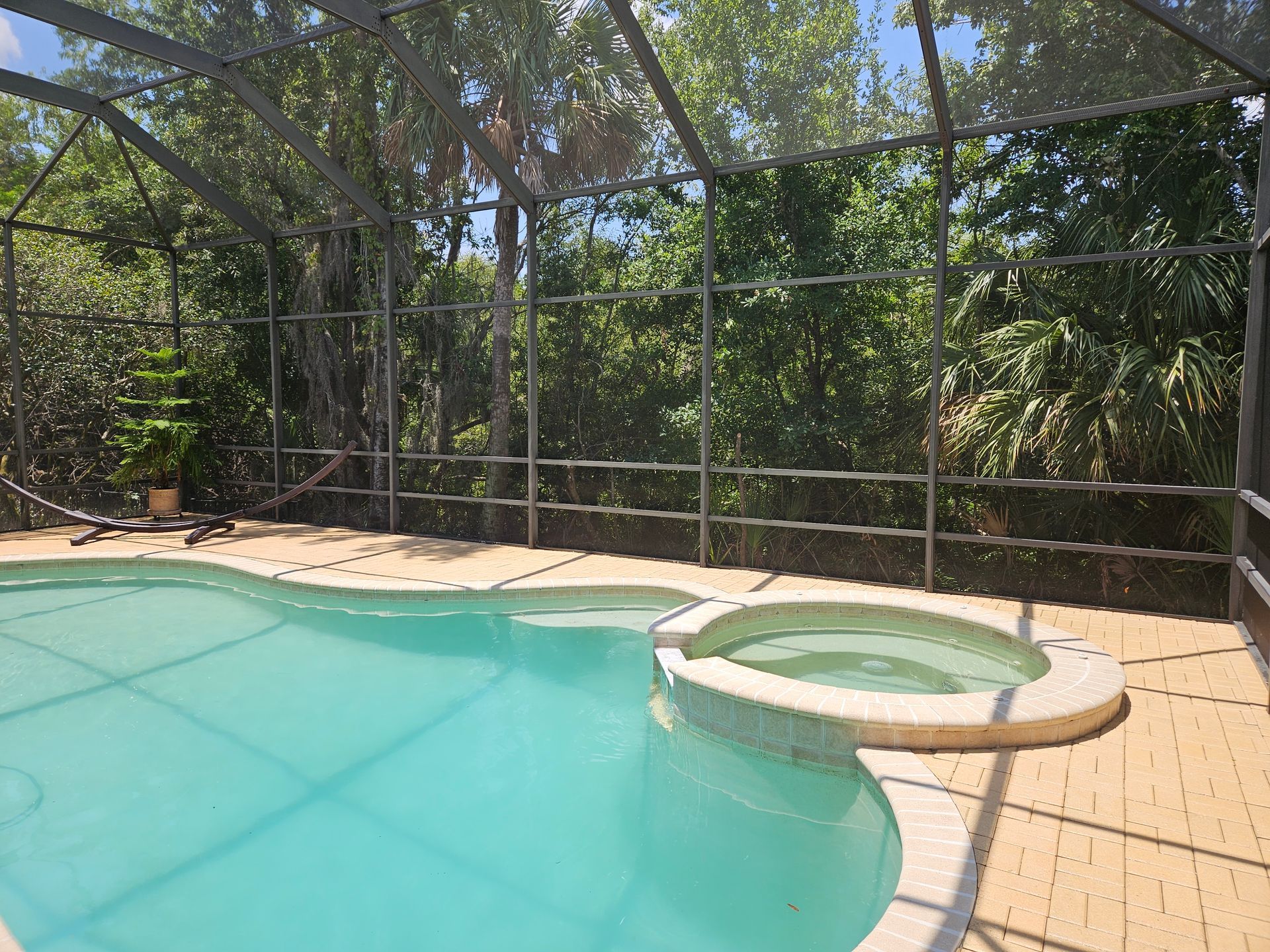 Pool screen cleaning