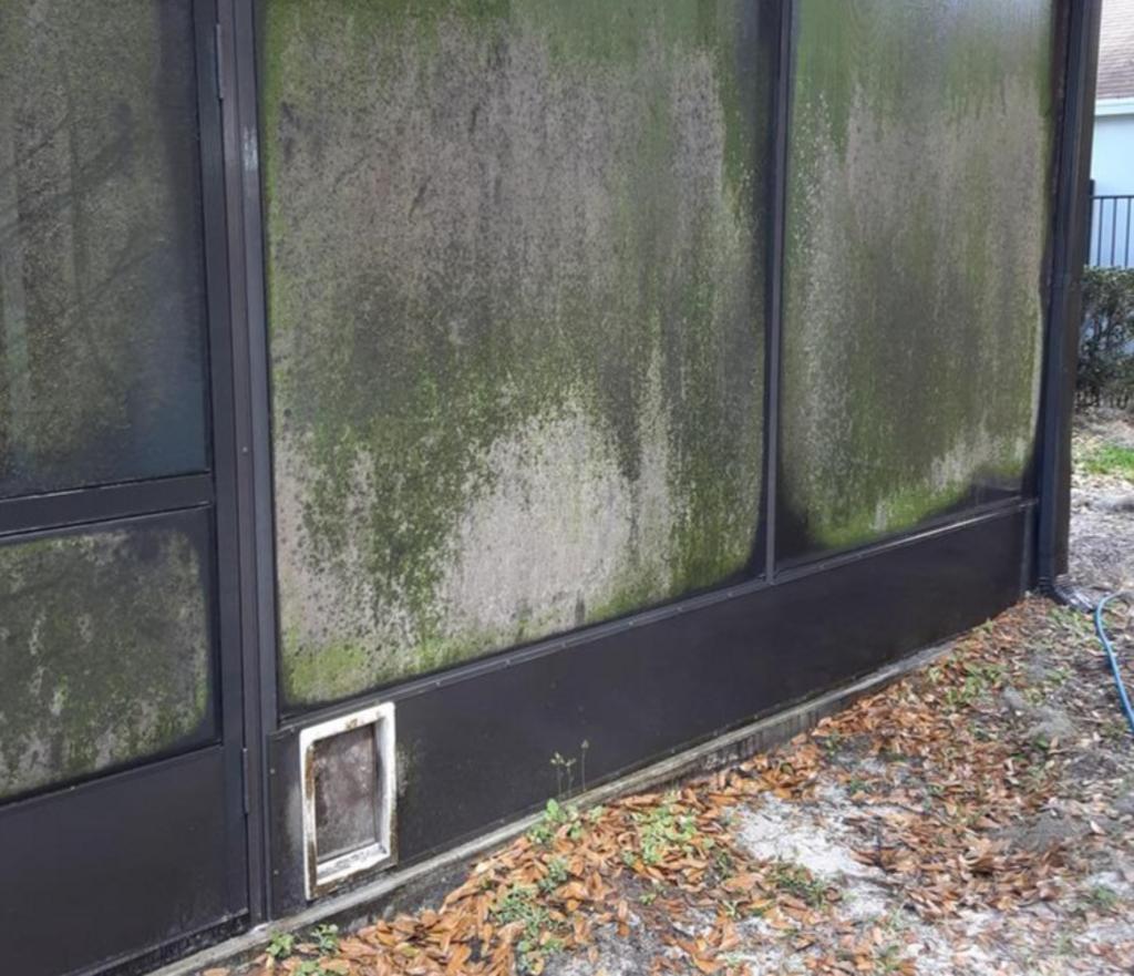 Lanai screen pressure washing in Fishhawk