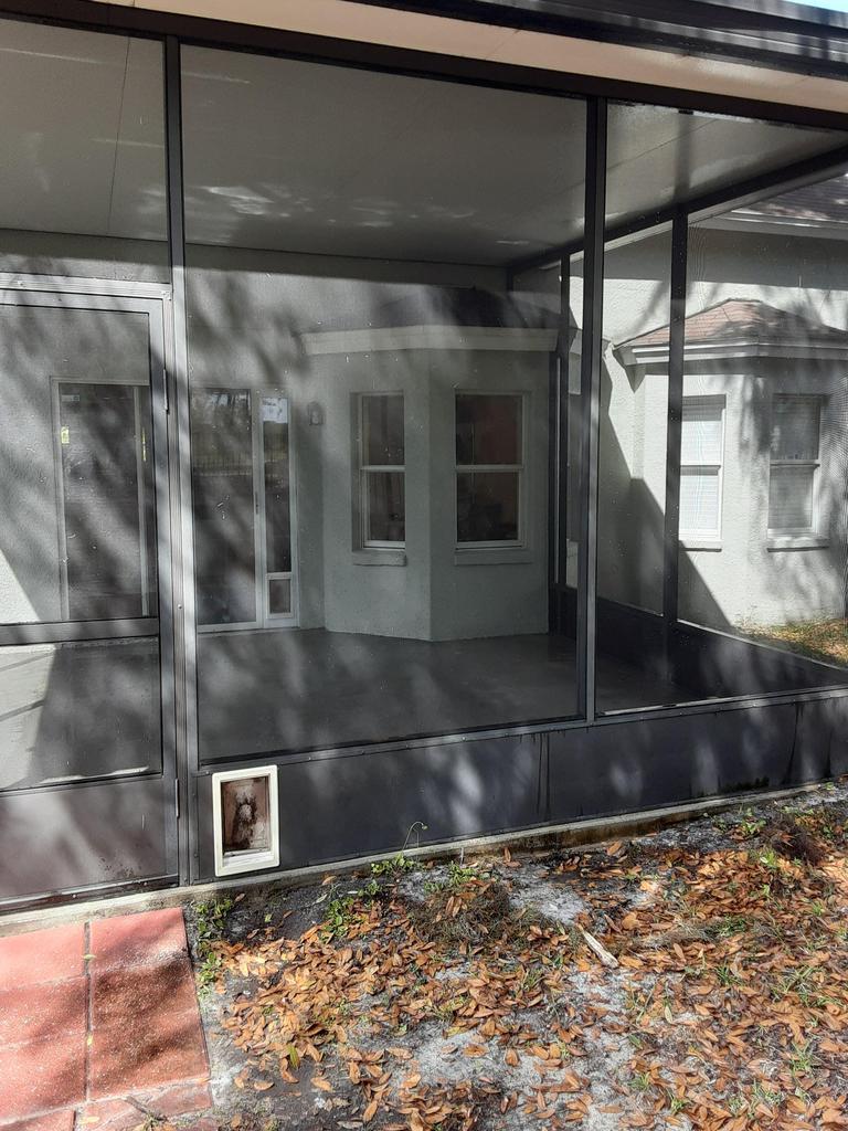 Lanai screen pressure washing in Fishhawk