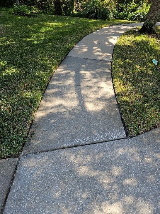 Curved concrete sidewalk through a green, sunlit park with tree shadows.