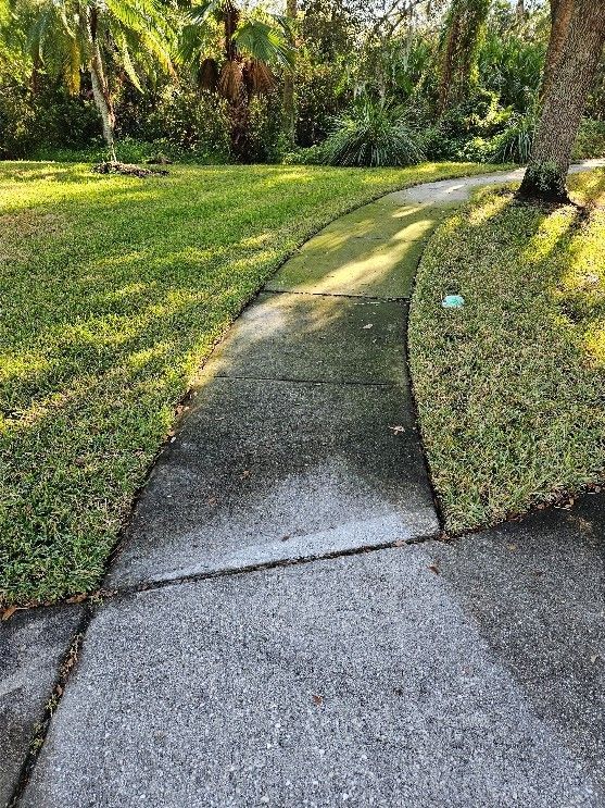Curved concrete sidewalk through a grassy, tree-lined park in sunlight