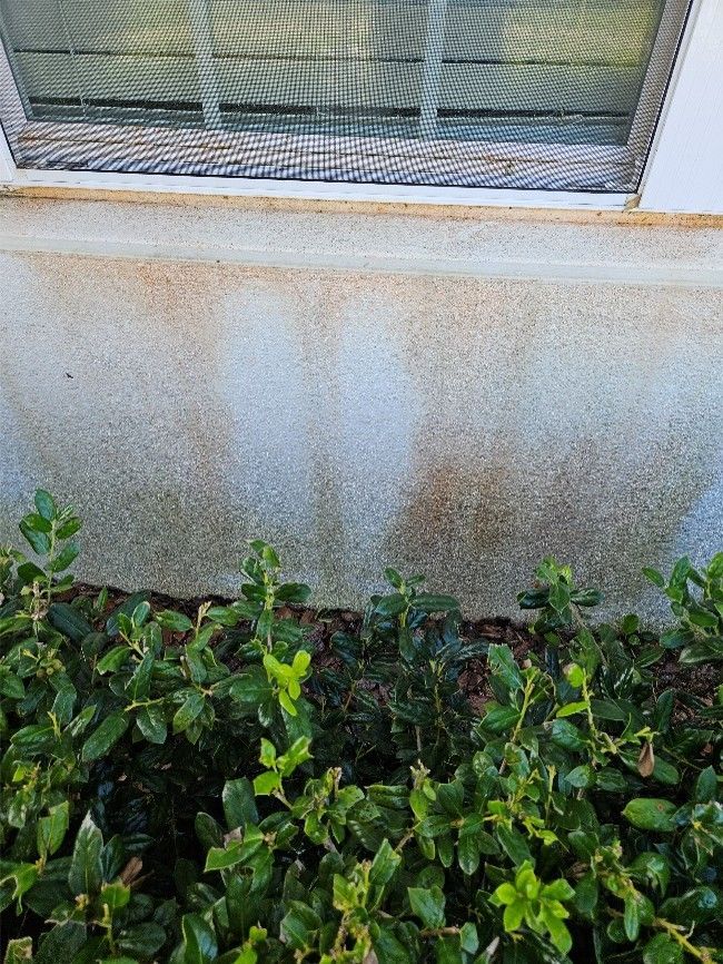 Stained exterior wall beneath a window, with green shrubs at the base.