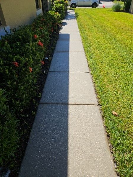 Concrete sidewalk beside green lawn and hedges in bright sunlight