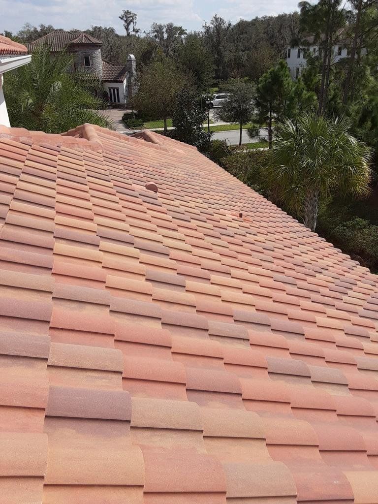 Soft Wash Roof Cleaning in Lithia
