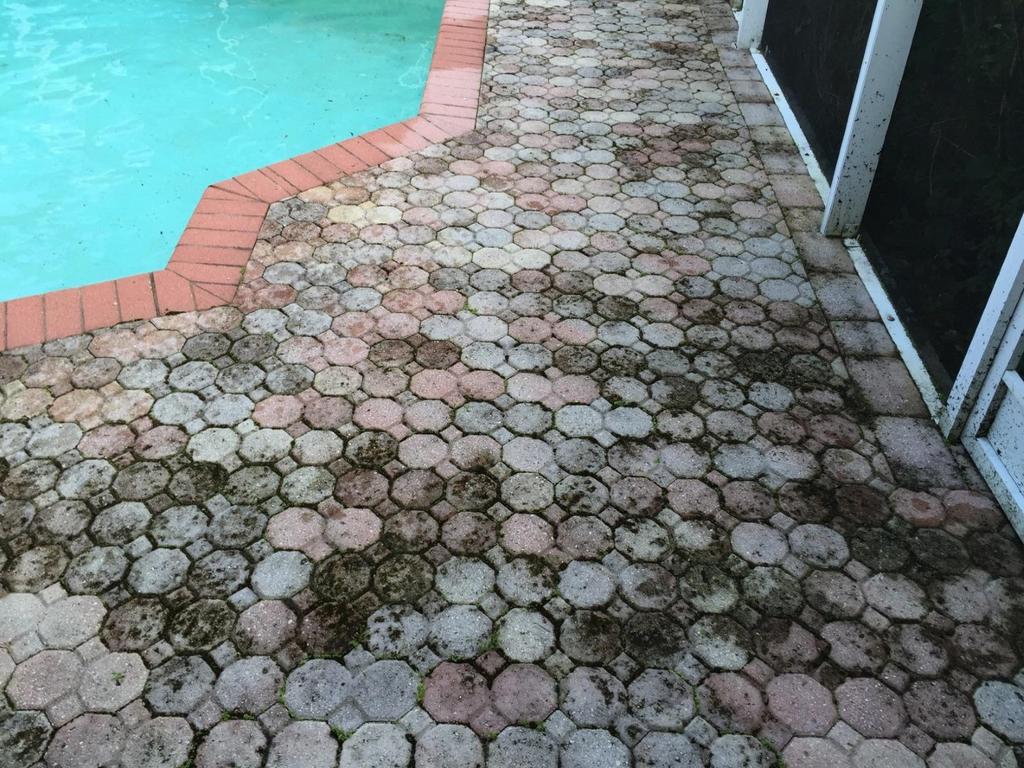 Pool paver pressure washing in Riverview