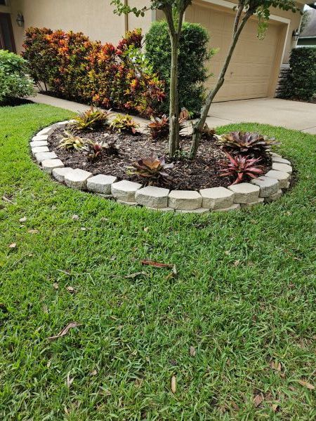 A small, oval garden bed with bromeliads and a tree, bordered by beige stone blocks in front of a house.