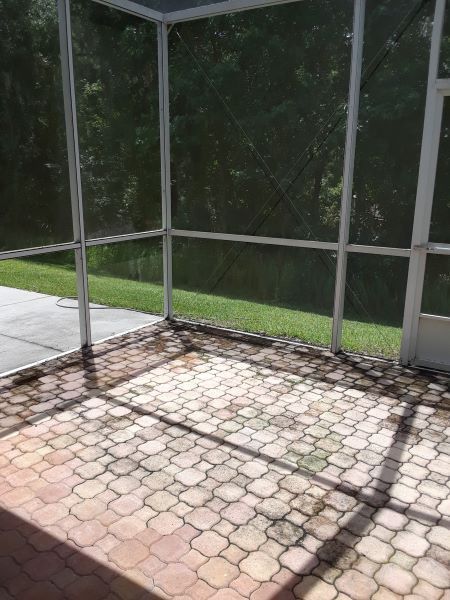 Green screened-in patio/courtyard beside a hedge and wet lawn, with potted plants and a stone path.