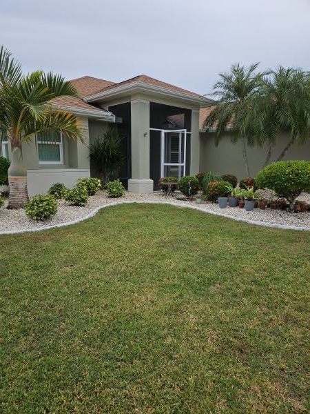 Single-story house with palm trees, a front walkway, and a well-kept lawn