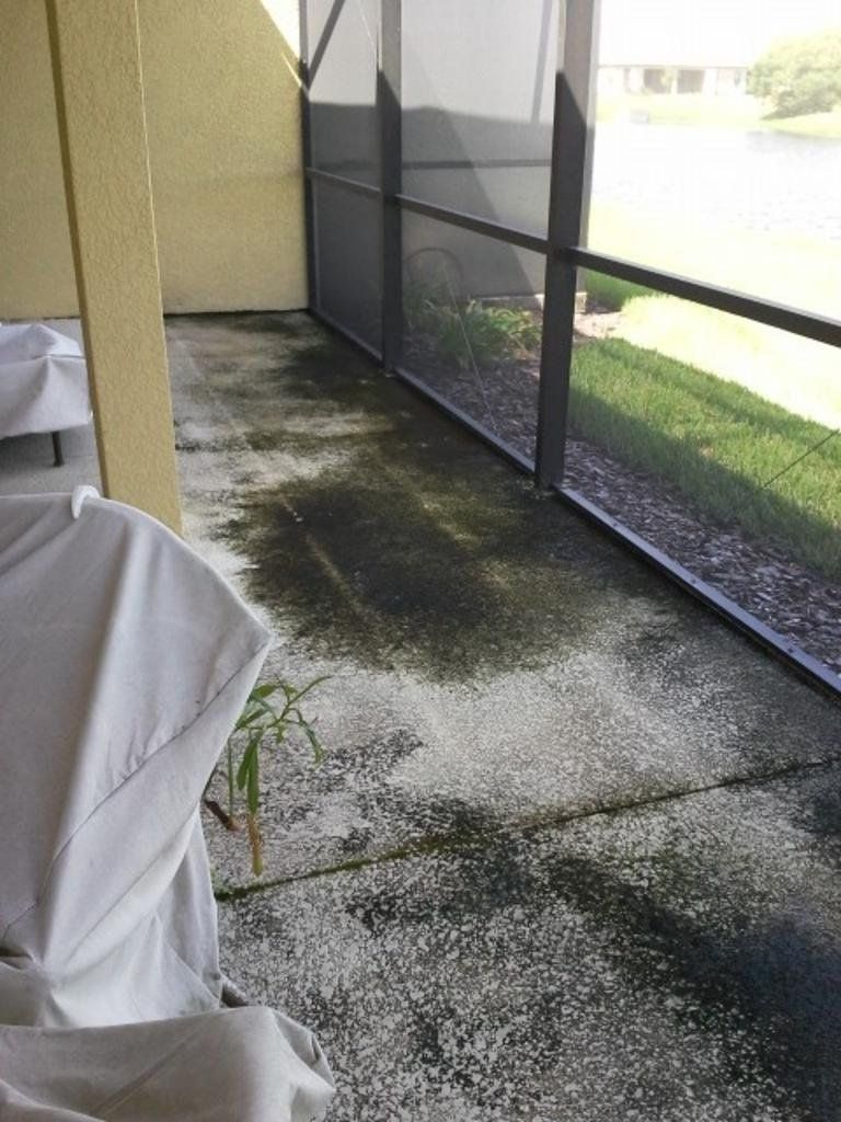 Lanai pressure washing in Apollo Beach