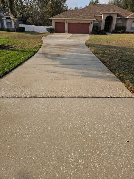 A view of a concrete driveway leading to a closed garage door with shadows from trees cast across the surface.