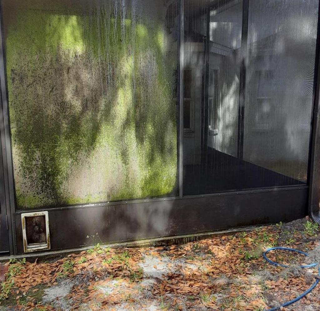 Lanai screen pressure washing in Fishhawk