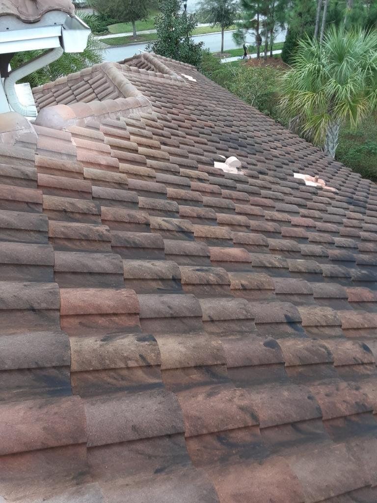 Soft Wash Roof Cleaning in Lithia