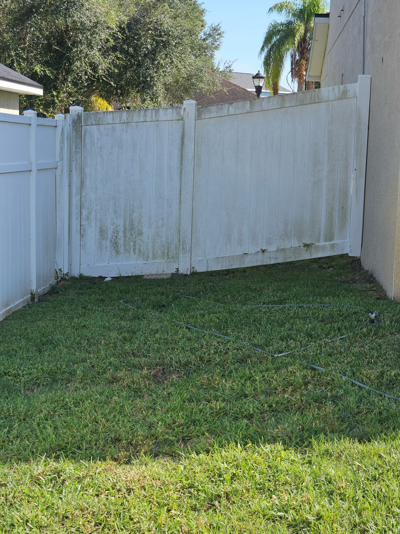 A white vinyl fence with visible dirt and mildew buildup in a grassy backyard setting.