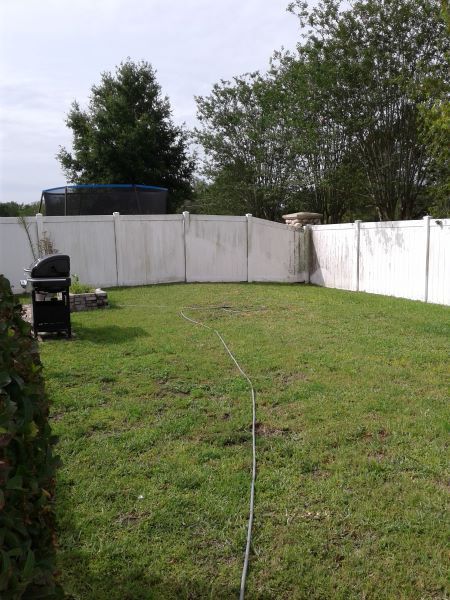 Backyard with green grass, white fence, trees, and a hose running across the lawn.